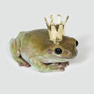 fav series and movies